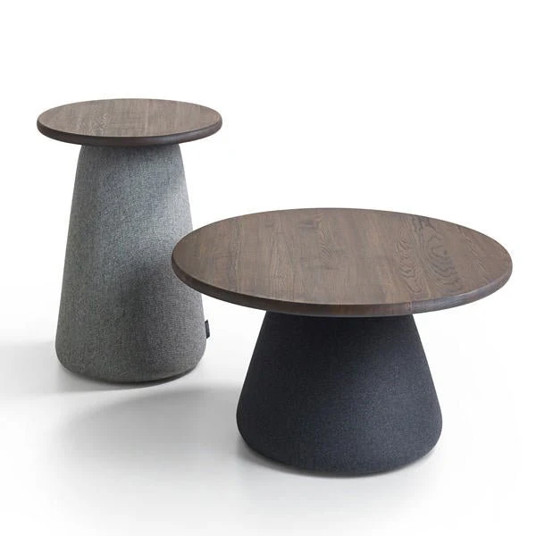 Terp Coffee Table by Artifort - Image 5