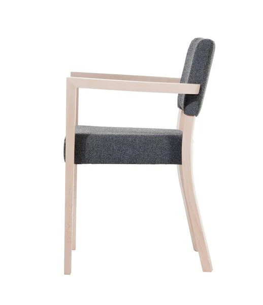 Treviso Bentwood Armchair by Ton - Image 9