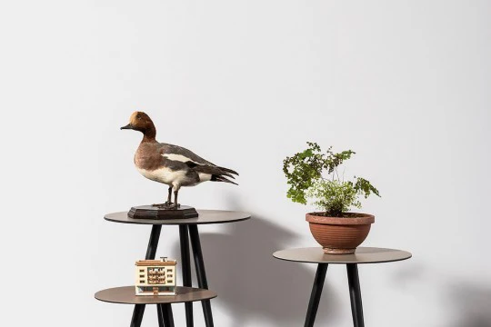 Trip Side Table by Midj - Image 3
