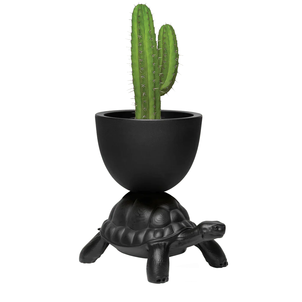 Turtle Carry Planter and Champagne Cooler by Qeeboo - Image 11