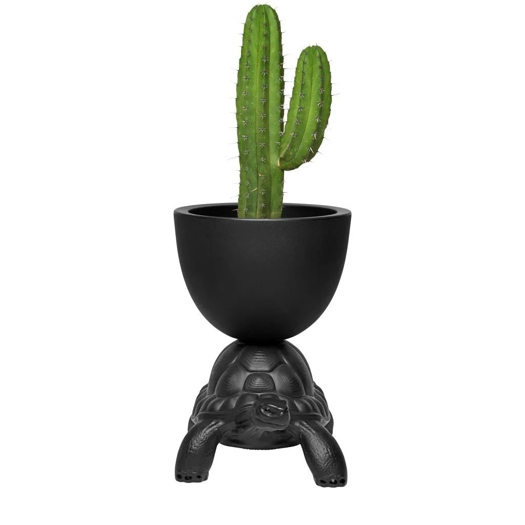 Turtle Carry Planter and Champagne Cooler by Qeeboo - Image 12