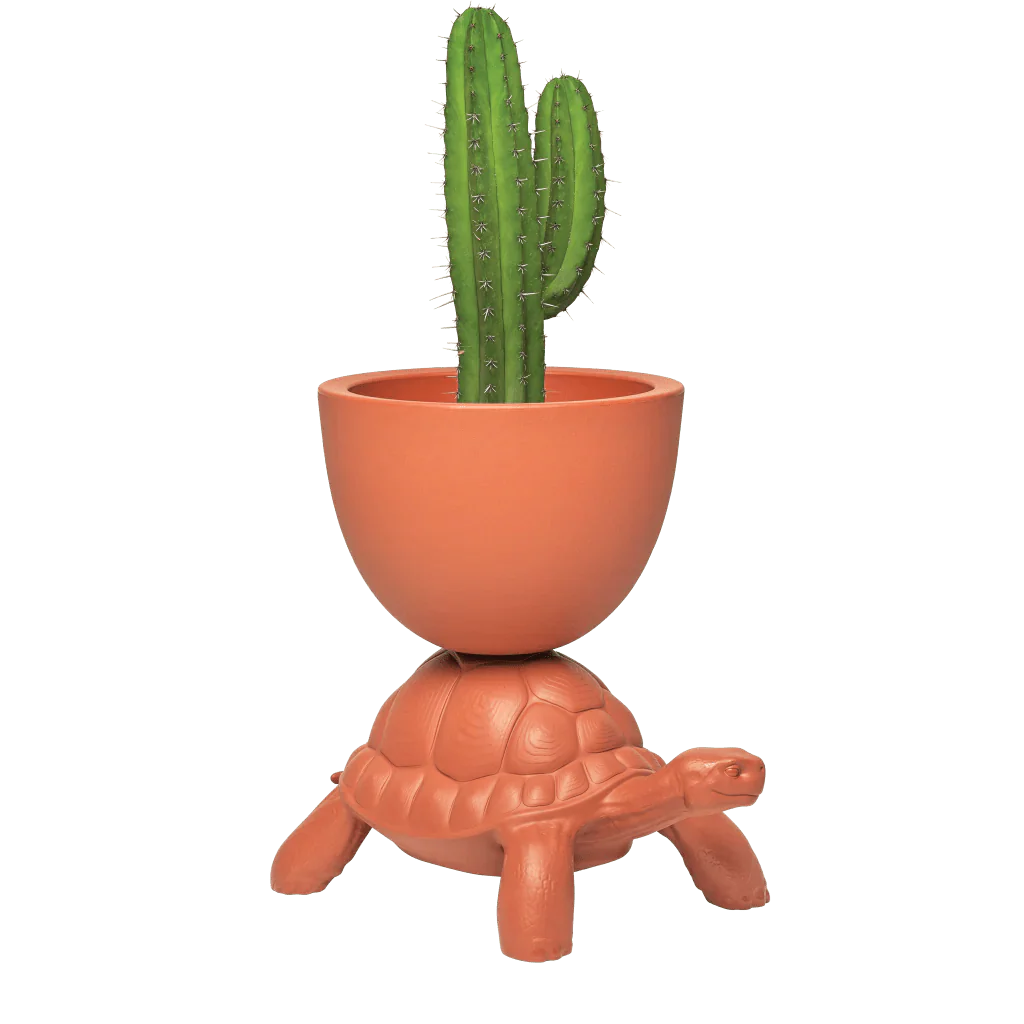 Turtle Carry Planter and Champagne Cooler by Qeeboo - Image 2