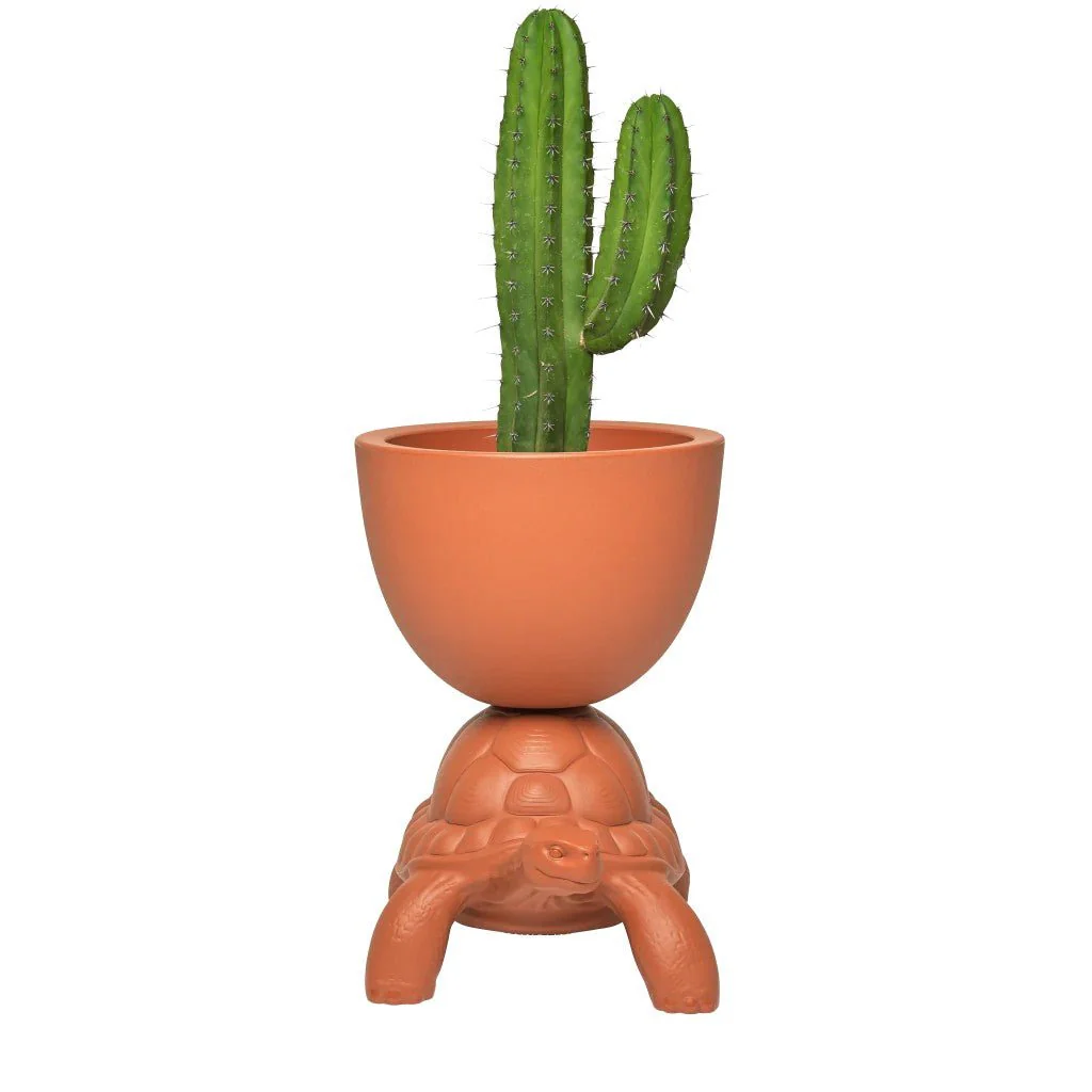 Turtle Carry Planter and Champagne Cooler by Qeeboo - Image 3