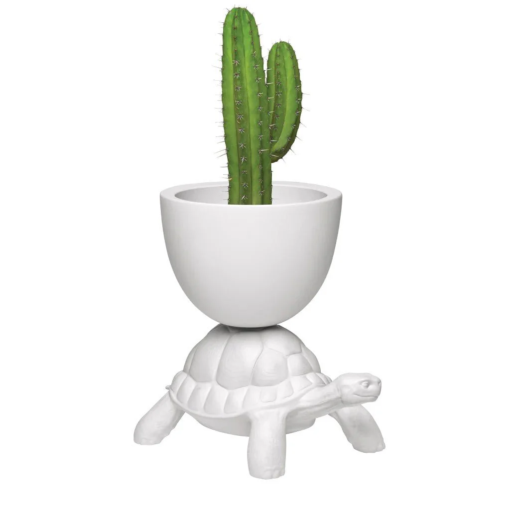 Turtle Carry Planter and Champagne Cooler by Qeeboo - Image 5