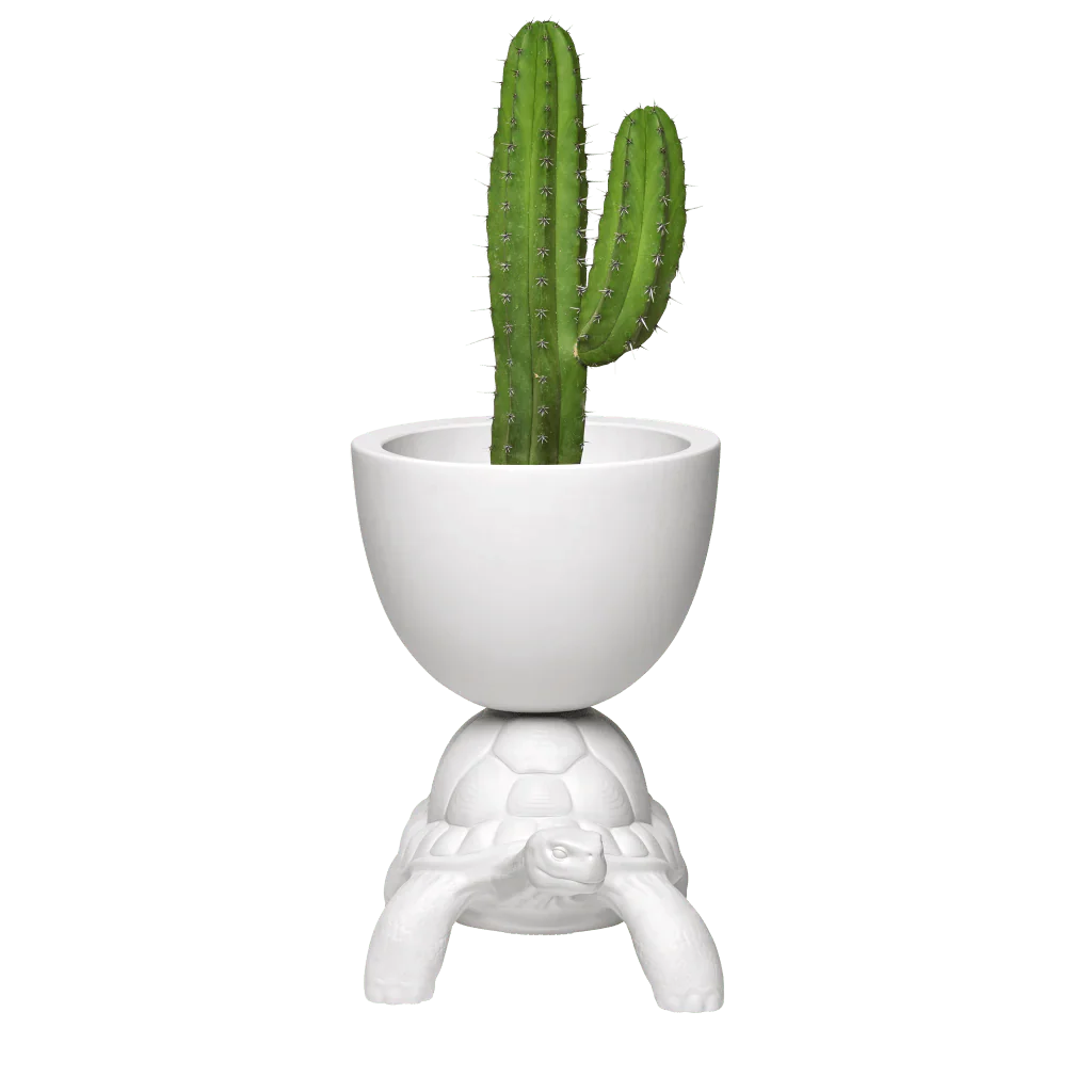 Turtle Carry Planter and Champagne Cooler by Qeeboo - Image 6