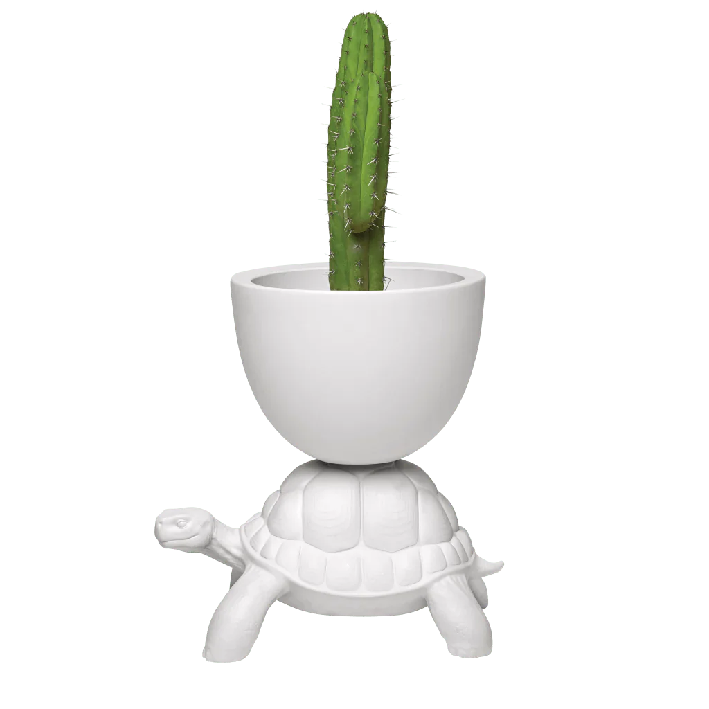 Turtle Carry Planter and Champagne Cooler by Qeeboo - Image 7