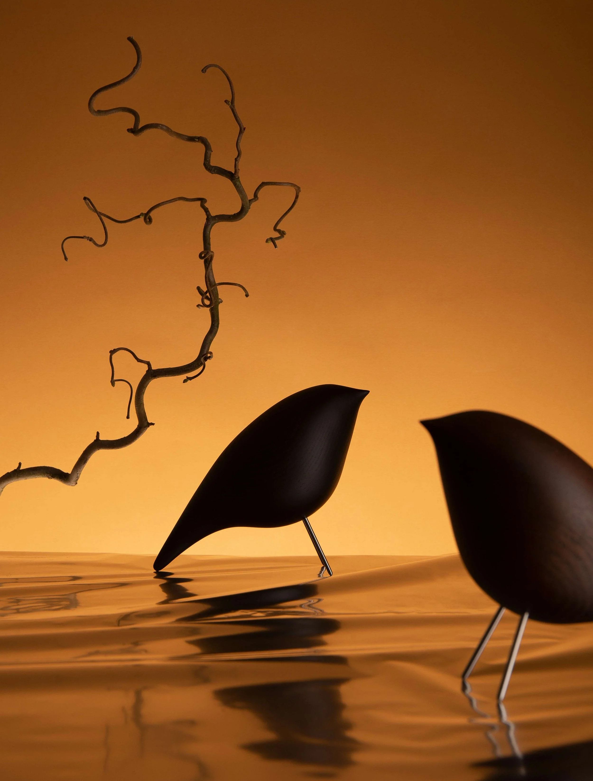 Tweety Decorative Bird by Noom - Image 15