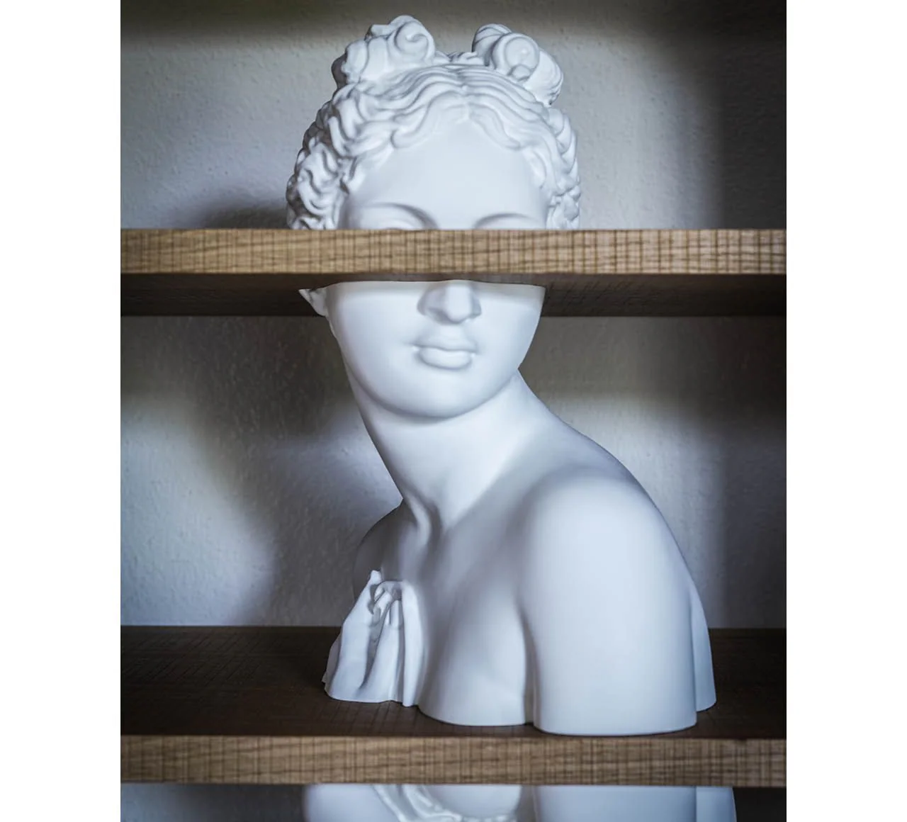 Venus Bookcase by Driade - Image 5