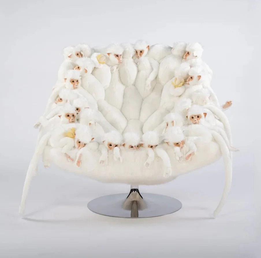 White Monkey Lounge Chair by AP Collection - Image 5